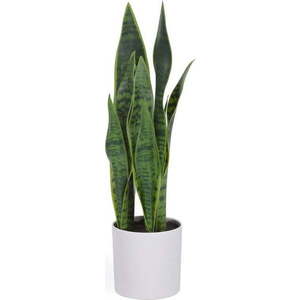 Umělá rostlina (výška 55 cm) Sansevieria – Kave Home obraz