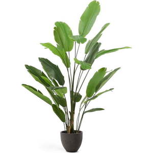 Umělý banánovník (výška 210 cm) – Kave Home obraz