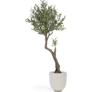 Umělý olivovník (výška 140 cm) Olive – Kave Home obraz