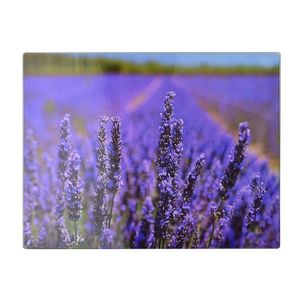 Allesken Skleněné krájecí prkénko LAVENDER 30x40 cm fialové obraz
