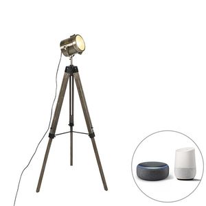 Chytrá stojací lampa trojnožka dřevěná se studiovým světlem vč. Wifi B35 - Braha obraz