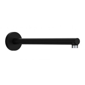 HANSGROHE Příslušenství Sprchové rameno, 39 cm, matná černá 24357670 obraz
