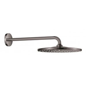 GROHE Rainshower Hlavová sprcha, průměr 31 cm, Hard Graphite 26558A00 obraz