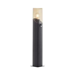 Brilliant Brilliant - Venkovní lampa se senzorem MINOU 1xE27/10W/230V IP44 černá/kouřová obraz