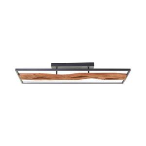 Brilliant Brilliant - LED Stmívatelné stropní svítidlo CHAUMONT LED/48W/230V - FSC obraz