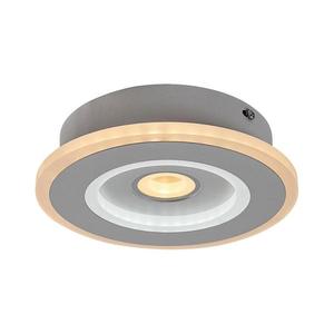 Rabalux Rabalux 6959 - LED Stropní svítidlo TANELI LED/20W/230V 3000/4000/6000K obraz