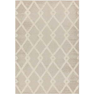 Krémový venkovní koberec 160x230 cm Monty – Asiatic Carpets obraz