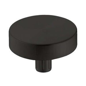 HANSGROHE Příslušenství Ovládací knoflík excentru A11, matná černá 40953670 obraz