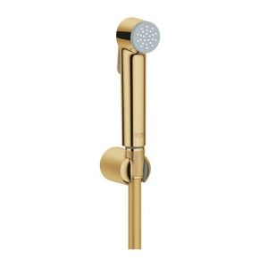 GROHE Tempesta-F Bidetová sprška s držákem a hadicí, Cool Sunrise 27513GL1 obraz