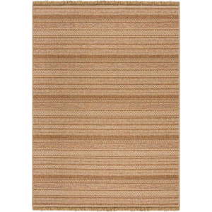 Vnitřní a venkovní koberec v přírodní barvě 160x230 cm Farah Stripe – Flair Rugs obraz