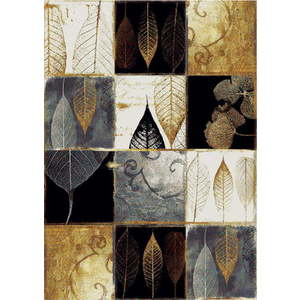 Koberec Universal Amy Lento, 60 x 120 cm obraz