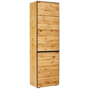 Linea Natura SKŘÍŇ NA ODĚV, antracitová, barvy dubu, divoký dub, 60/200/38 cm obraz