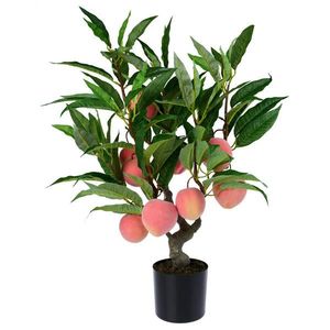 Ambia Home UMĚLÁ ROSTLINA broskev 71 cm obraz