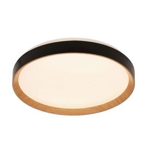 Novel STROPNÍ LED SVÍTIDLO, 48/8 cm obraz