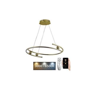 LED Stmívatelný lustr na lanku LED/50W/230V 3000-6500K + dálkové ovládání obraz