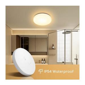 B.V. - LED Koupelnové stropní svítidlo LED/24W/230V 3000K IP54 obraz