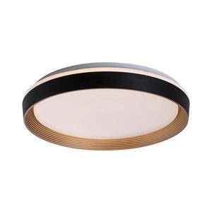 Rabalux Rabalux 71308 - LED Stm. stropní svítidlo LADAN LED/48W/230V 3000-6500K + DO obraz