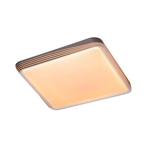 Rabalux Rabalux 71166 - LED Stropní svítidlo DRUZOR LED/40W/230V 3000K obraz