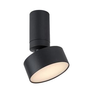 Rabalux Rabalux 71321 - LED Stropní svítidlo OVIDIA LED/10W/230V 3000K černá obraz