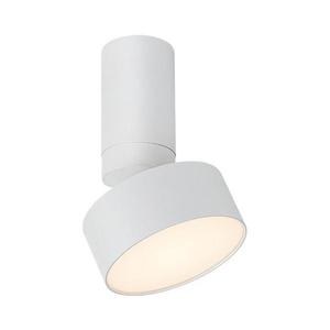 Rabalux Rabalux 71326 - LED Stropní svítidlo OVIDIA LED/10W/230V 3000K bílá obraz