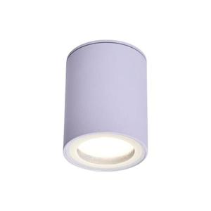 Rabalux Rabalux 71343 - Stropní svítidlo KOVEN 1xGU10/35W/230V bílá obraz