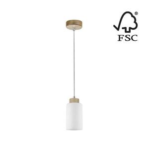 1720160 - Lustr na lanku BOSCO 1xE27/60W/230V obraz