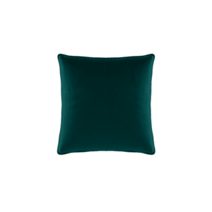 Dekorativní povlak na polštář 40x40 obraz