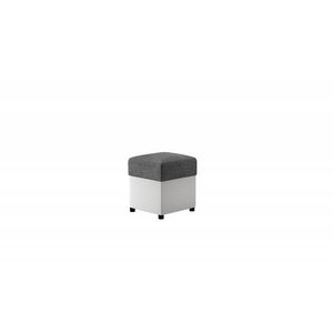 Pouf R1 obraz