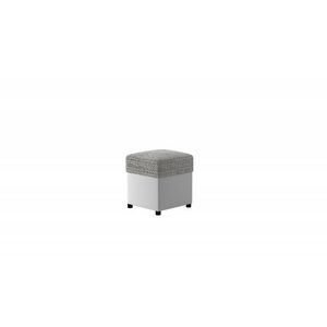 Pouf R1 obraz