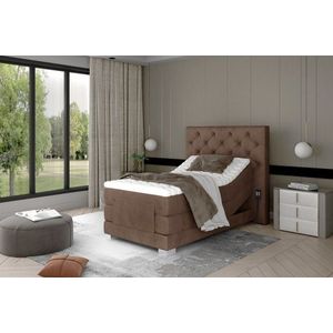 Clover 90x200 obraz