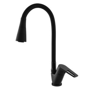 RAV Slezák COLORADO Umyvadlová/dřezová baterie s flexibilním ramínkem, Černá matná, 1/2" CO206.5/13CMAT obraz