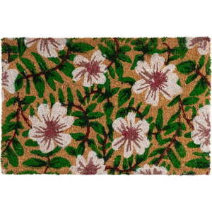 Rohožka z kokosového vlákna 40x60 cm Leafy – Casa Selección obraz