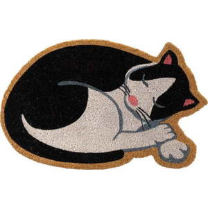 Rohožka z kokosového vlákna 40x60 cm Cat – Casa Selección obraz