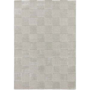 Světle šedý koberec 200x290 cm Elio Silver – Think Rugs obraz