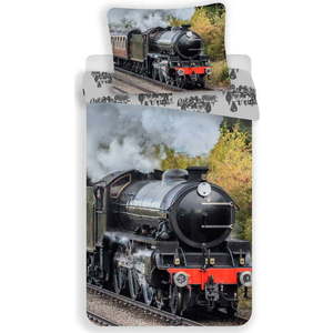Bavlněné dětské povlečení na jednolůžko 140x200 cm Train – Jerry Fabrics obraz