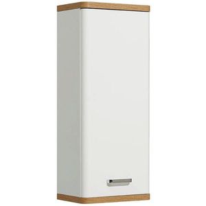 Xora ZÁVĚSNÁ SKŘÍŇKA, bílá, barvy dubu, 30/70/20 cm obraz