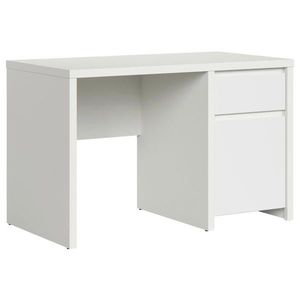 XXXL PSACÍ STŮL, bílá, 120/65/77 cm obraz