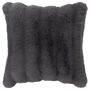 Dieter Knoll POTAH NA POLŠTÁŘ 48/48 cm obraz