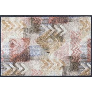 wash+dry DVEŘNÍ ROHOŽKA, 50/75 cm, béžová, světle hnědá obraz