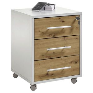 Carryhome POJÍZDNÝ KONTEJNER, 43/56/42 cm obraz