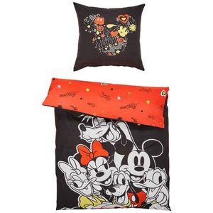 Disney POVLEČENÍ PRO MLÁDEŽ, renforcé, vícebarevná, 135/200 cm obraz