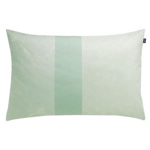 Joop! POTAH NA POLŠTÁŘ 40/60 cm obraz