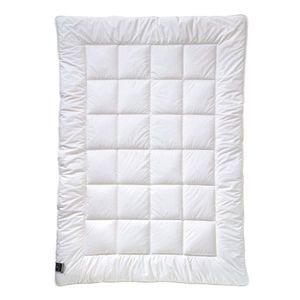 Billerbeck ZIMNÍ PŘIKRÝVKA, 155/220 cm, polyester obraz