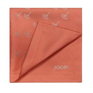 Joop! UBROUSEK obraz