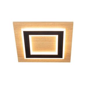 Novel STROPNÍ LED SVÍTIDLO, 32/32 cm obraz