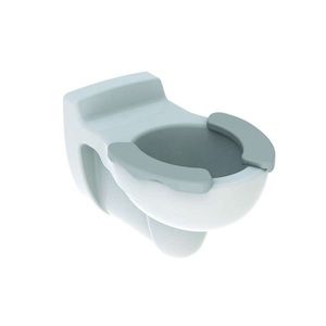 GEBERIT Bambini Závěsné dětské WC, bílá/šedá plocha 201715000 obraz