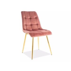 Signal Čalouněná jídelní židle Chic Gold Velvet růžová obraz