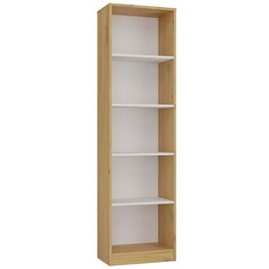 TP Living Regál Onyx R50 50 cm dub Artisan/bílý obraz