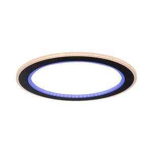 Rabalux Rabalux 71406 - LED Stm. stropní svítidlo GOLWEN LED/22W/230V 3000-6500K + DO obraz