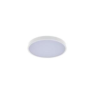 Rabalux Rabalux 71425 - LED Koupelnové stropní svítidlo ALENZO LED/12W/230V IP44 bílá obraz